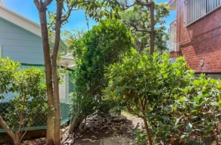 �_�ސ쌧���q�s�R��K�l4���ڂ̒��Ã}���V�����̃o���R�j�[