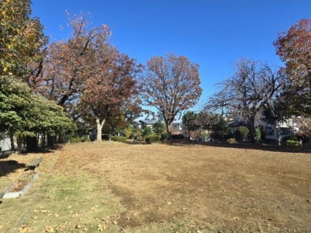 �_�ސ쌧����s�����̓y�n�̌��n�y�n�ʐ^