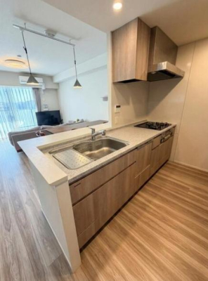 �_�ސ쌧����s�������̒��Ã}���V�����̃L�b�`��