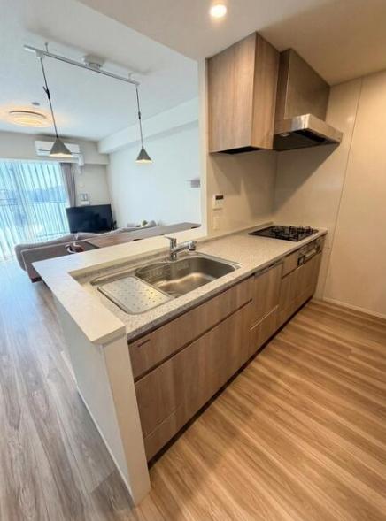 �_�ސ쌧����s�������̒��Ã}���V�����̃L�b�`��