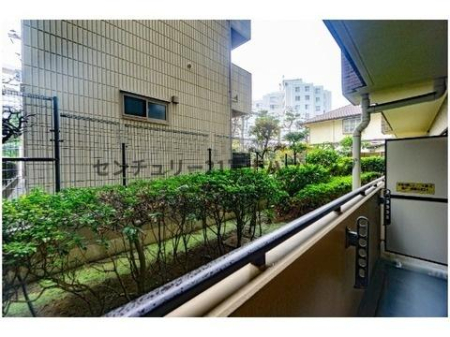 �_�ސ쌧����s�А��C��2���ڂ̒��Ã}���V�����̃o���R�j�[