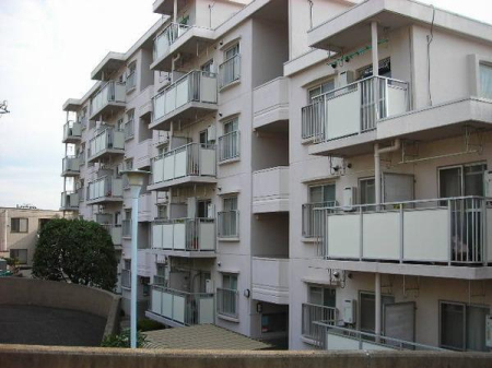 �_�ސ쌧����s�݂��̑�̒��Ã}���V�����̂��̑�