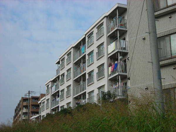 �_�ސ쌧����s�݂��̑�̒��Ã}���V�����̂��̑�