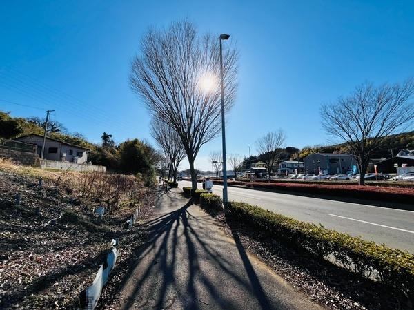 �_�ސ쌧����s�����̓y�n�̑O�ʓ��H�܂ތ��n�ʐ^