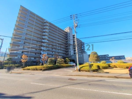 �_�ސ쌧������s��̒��Ã}���V�����̉摜