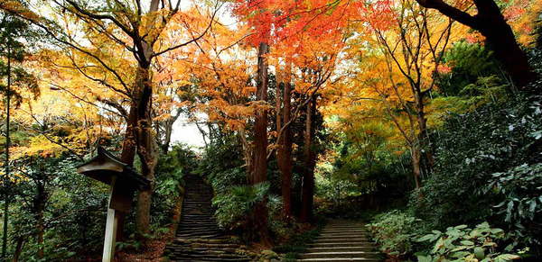 �_�ސ쌧���q�s�����3���ڂ̒��È�ˌ��Ă̎��ӊ�