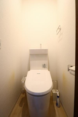 �_�ސ쌧����s����̒��È�ˌ��Ẵg�C��