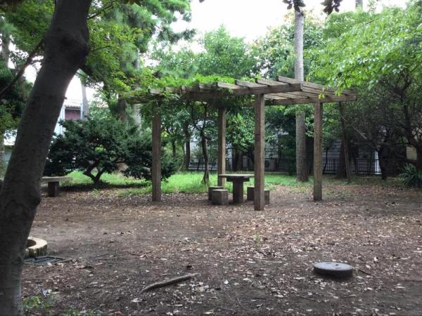 �_�ސ쌧������s���l���̒��È�ˌ��Ă̎��ӊ�