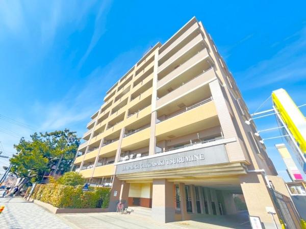 �_�ސ쌧������s�l�V�� 438-2�̒��Ã}���V�����̌��n�O�ώʐ^