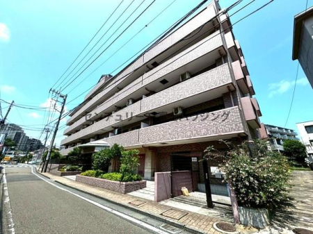 �_�ސ쌧����s�勘1���ڂ̒��Ã}���V�����̂��̑����n