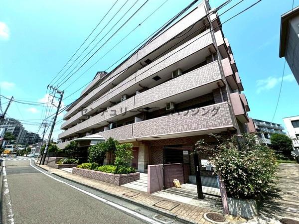 �_�ސ쌧����s�勘1���ڂ̒��Ã}���V�����̂��̑����n