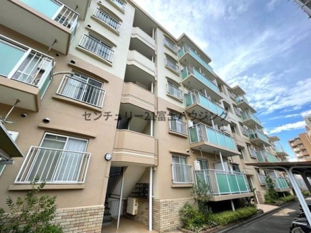 �_�ސ쌧����s�݂��̑�̒��Ã}���V�����̂��̑����n