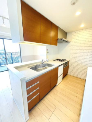 �_�ސ쌧����s���̒��Ã}���V�����̃L�b�`��