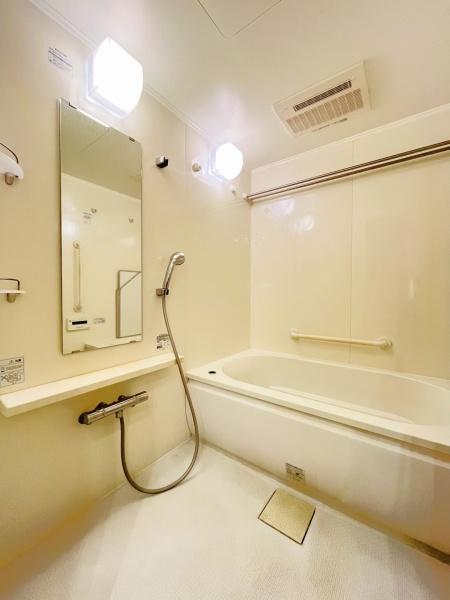 �_�ސ쌧����s���̒��Ã}���V�����̗���