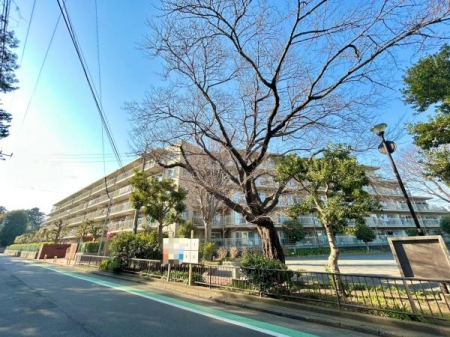 �_�ސ쌧���l�s�˒ˋ挴�h4���ڂ̒��Ã}���V�����̌��n�O�ώʐ^