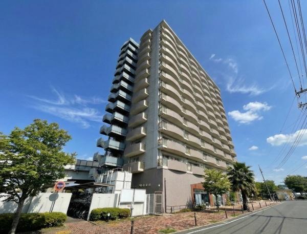 �_�ސ쌧������s���v�ۂ̒��Ã}���V�����̂��̑����n