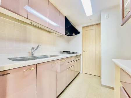 �_�ސ쌧������s���v�ۂ̒��Ã}���V�����̃L�b�`��