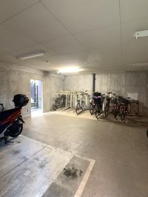 �_�ސ쌧����s����̒��Ã}���V�����̂��̑����n