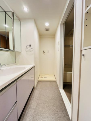 �_�ސ쌧������s�{��4���ڂ̒��Ã}���V�����̐��ʑ�E���ʏ�