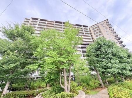 �_�ސ쌧����s������1���ڂ̒��Ã}���V�����̂��̑����n