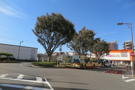 �_�ސ쌧����s����̒��È�ˌ��Ă̎��ӊ�