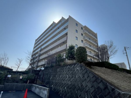 �_�ސ쌧�ɐ����s�Γc�̒��Ã}���V�����̂��̑����n