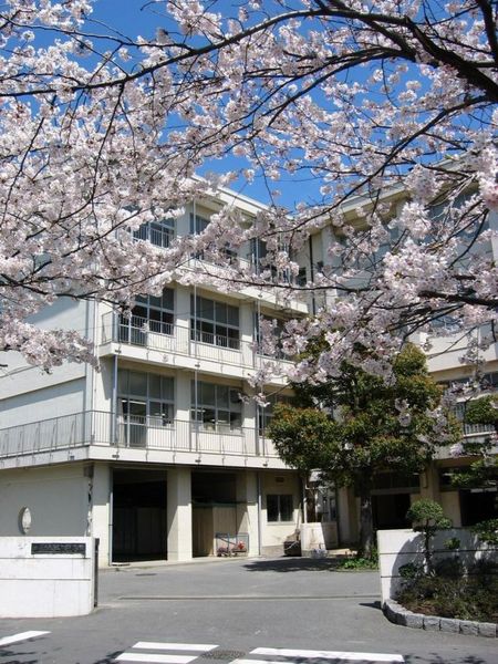 �_�ސ쌧���q�s���{�̒��Ã}���V�����̎��ӊ�