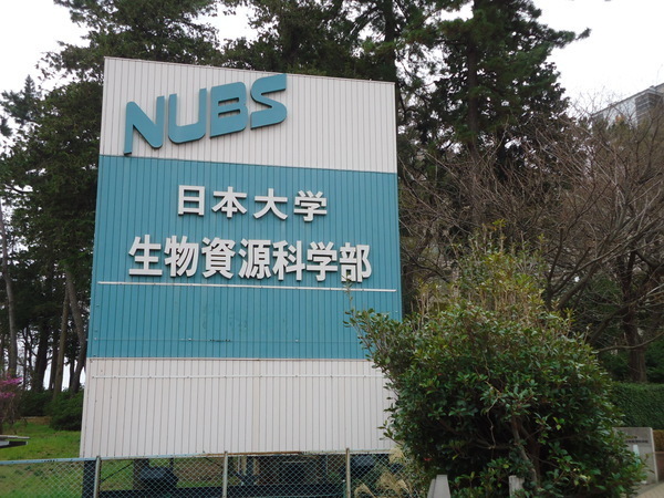 �_�ސ쌧����s�T���̐V�z��ˌ��Ă̎��ӊ�