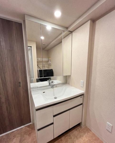 �_�ސ쌧������s�{�h���̒��Ã}���V�����̐��ʑ�E���ʏ�