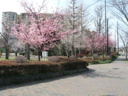 �_�ސ쌧����s���4���ڂ̒��Ã}���V�����̎��ӊ�