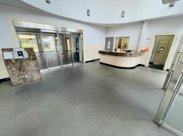 �_�ސ쌧����s����̒��Ã}���V�����̃G���g�����X