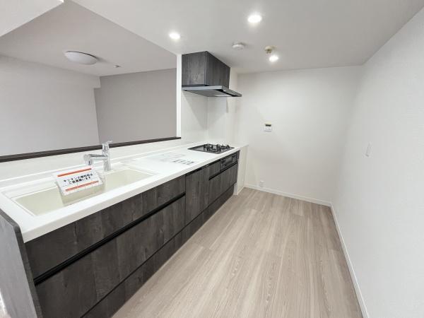 �_�ސ쌧������s�H���C�݂̒��Ã}���V�����̃L�b�`��