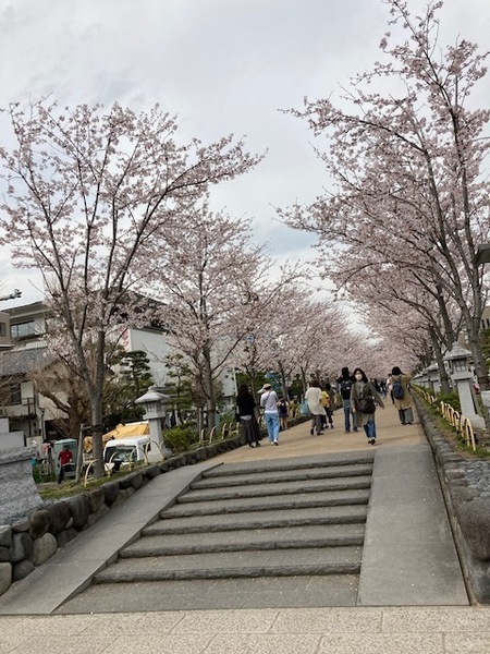 �_�ސ쌧���q�s����2���ڂ̓y�n�̎��ӊ�