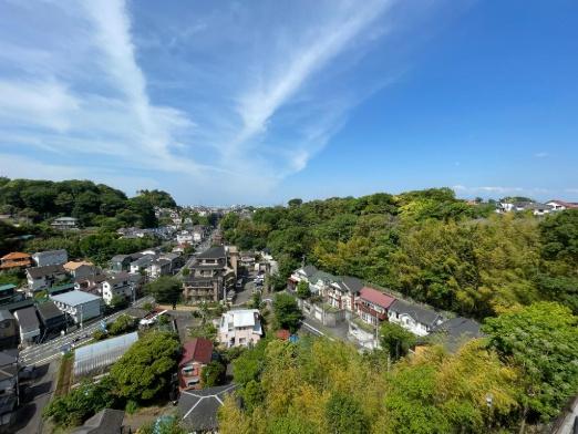 �_�ސ쌧���q�s�A�؂̒��Ã}���V�����̏Z�˂���̒��]�ʐ^