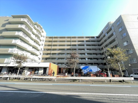 �_�ސ쌧����s�����C��5���ڂ̒��Ã}���V�����̂��̑����n