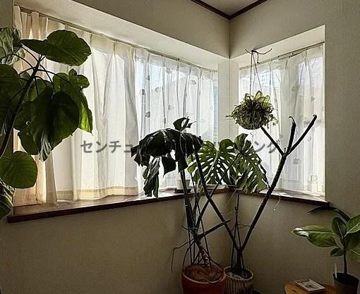 �_�ސ쌧����s�{����2���ڂ̒��È�ˌ��Ă̗m��