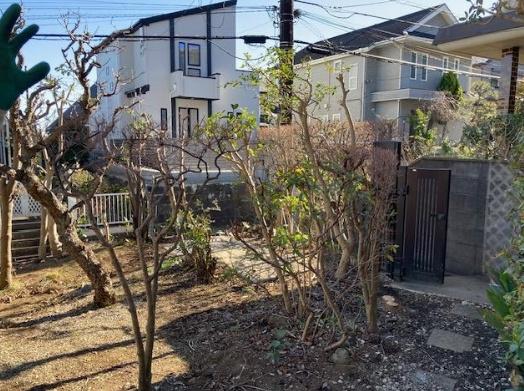 �_�ސ쌧���q�s���̓y�n�̌��n�y�n�ʐ^