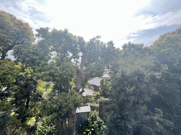 �_�ސ쌧������s�{��4���ڂ̒��Ã}���V�����̏Z�˂���̒��]�ʐ^