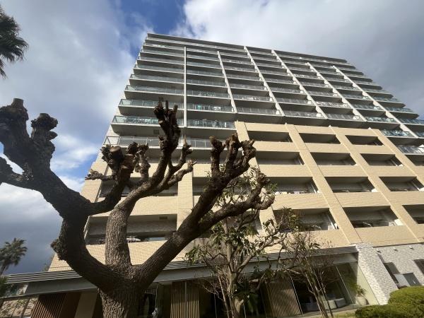 �_�ސ쌧������s��̒��Ã}���V�����̂��̑����n