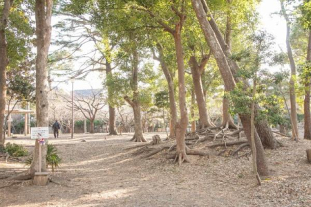 �_�ސ쌧������s���l���̒��È�ˌ��Ă̎��ӊ�