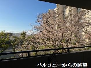 �_�ސ쌧���q�s���{�̒��Ã}���V�����̏Z�˂���̒��]�ʐ^