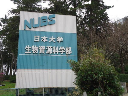 �_�ސ쌧����s������ 309-17�̒��È�ˌ��Ă̎��ӊ�