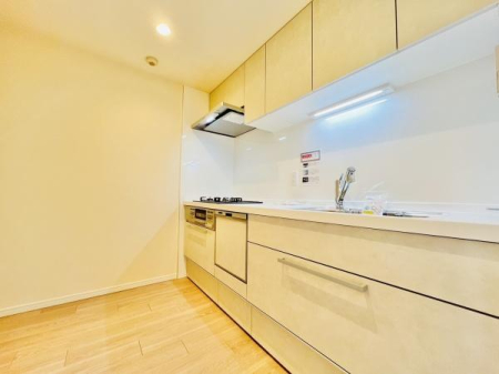 �_�ސ쌧����s����̒��Ã}���V�����̃L�b�`��