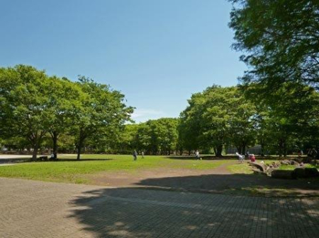 �_�ސ쌧������s�V�h���̒��Ã}���V�����̎��ӊ�