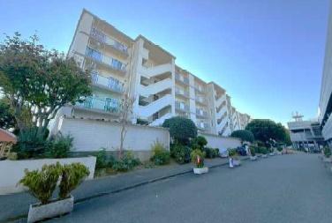 �_�ސ쌧����s���̒��Ã}���V�����̊����\�z�}(�O��)