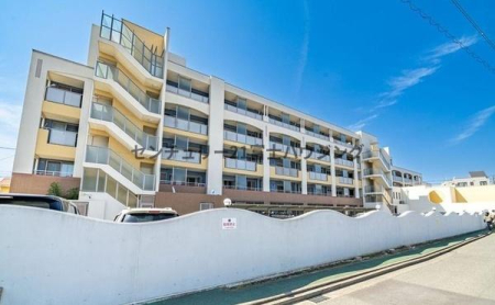 �_�ސ쌧���q�s�ޖ؍�3���ڂ̒��Ã}���V�����̌��n�O�ώʐ^