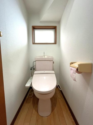 �_�ސ쌧������s�l�{��̒��È�ˌ��Ẵg�C��