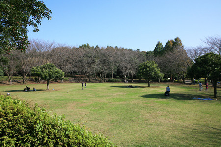 �_�ސ쌧����s���̒��Ã}���V�����̎��ӊ�