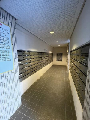 �_�ސ쌧������s���h�̒��Ã}���V�����̂��̑����p��