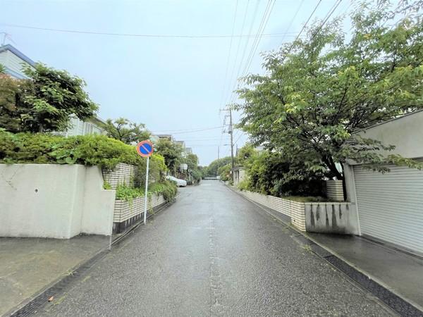 �_�ސ쌧���q�s�� 533-17�̒��È�ˌ��Ă̑O�ʓ��H�܂ތ��n�ʐ^